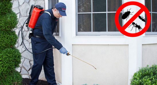 Soğukkuyu Hamam Böceği İlaçlama böcek ilaçlama ve haşere kontrolü — ilaclama-tr.com